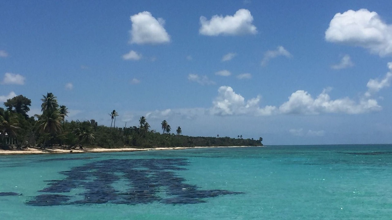 Photo of Others in Dominicus