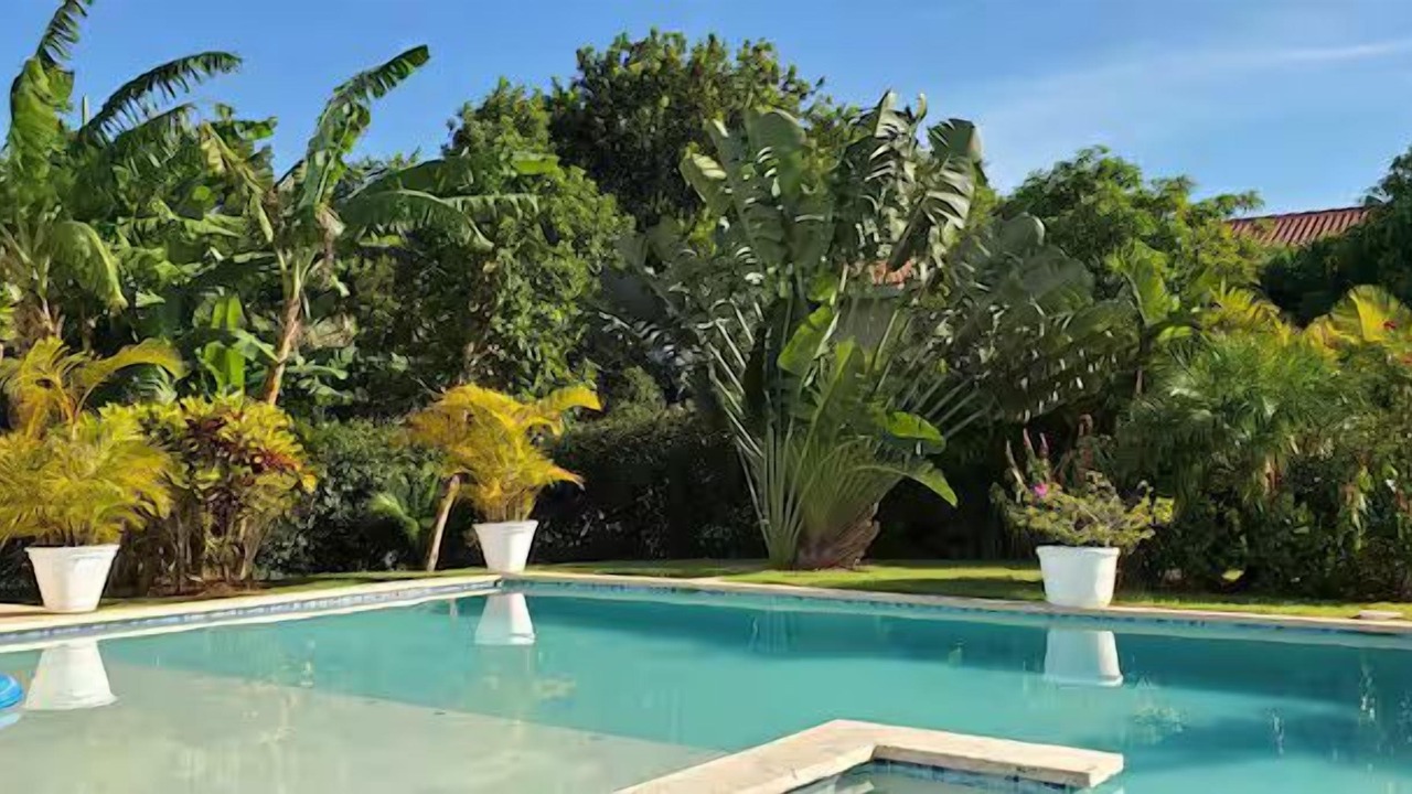 Photo of Outdoor in La Mulata