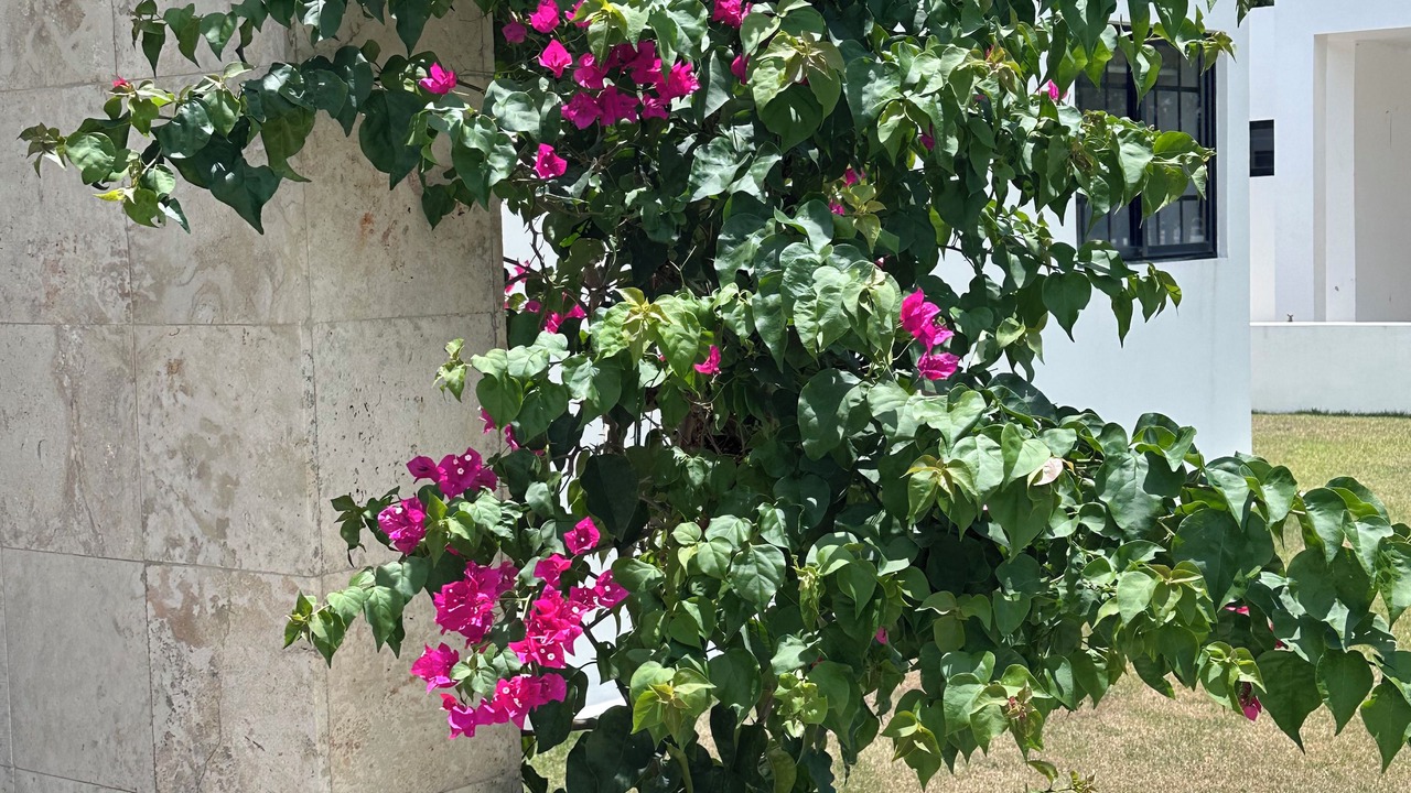 Photo of Outdoor in Costambar