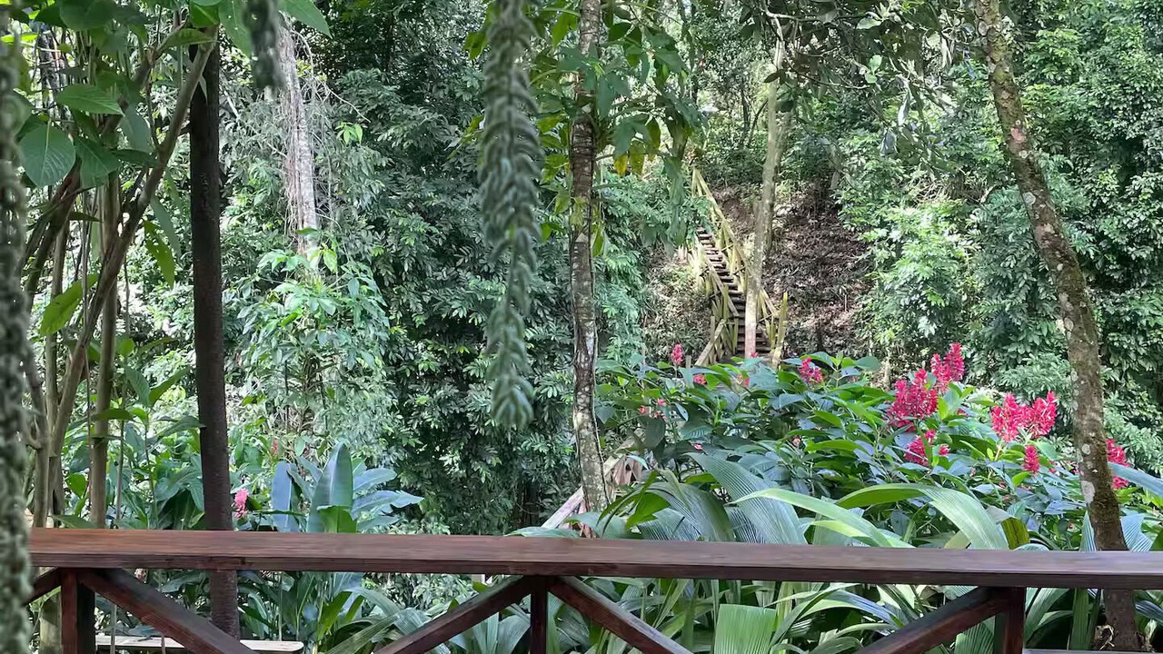 Photo of Outdoor in Paso Bajito