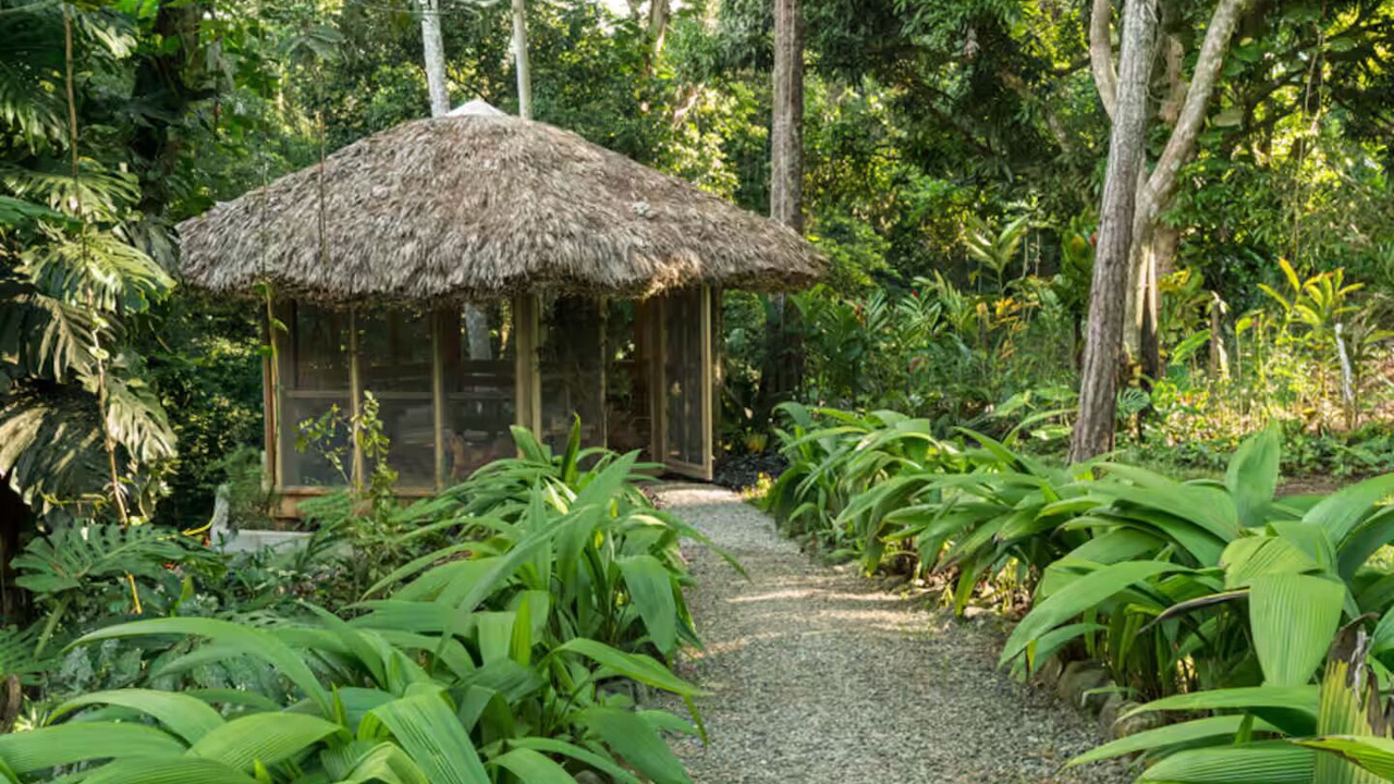 Photo of Outdoor in Paso Bajito