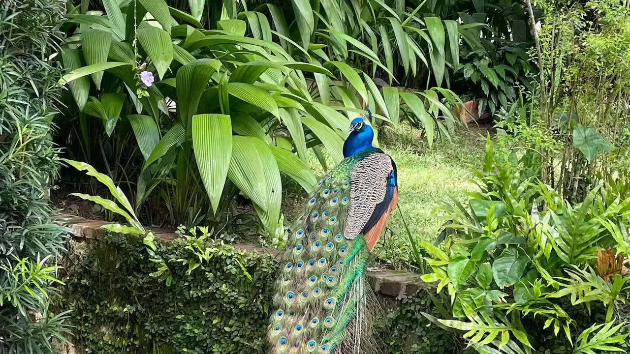 Photo of Outdoor in Paso Bajito