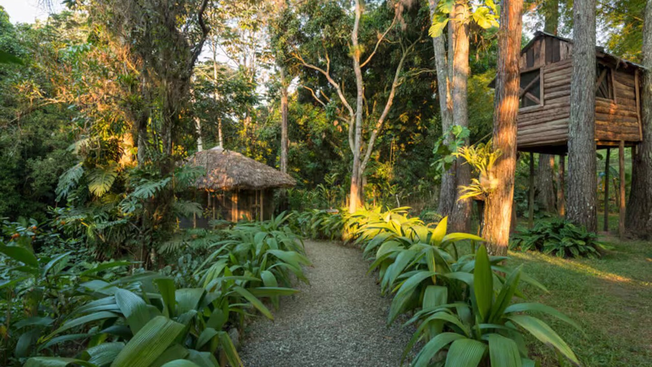 Photo of Outdoor in Paso Bajito