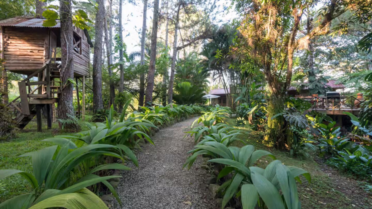 Photo of Outdoor in Paso Bajito