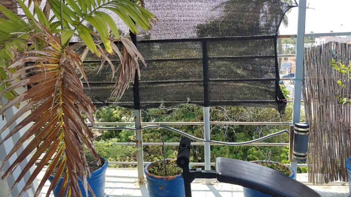 Photo of Outdoor in Cabarete
