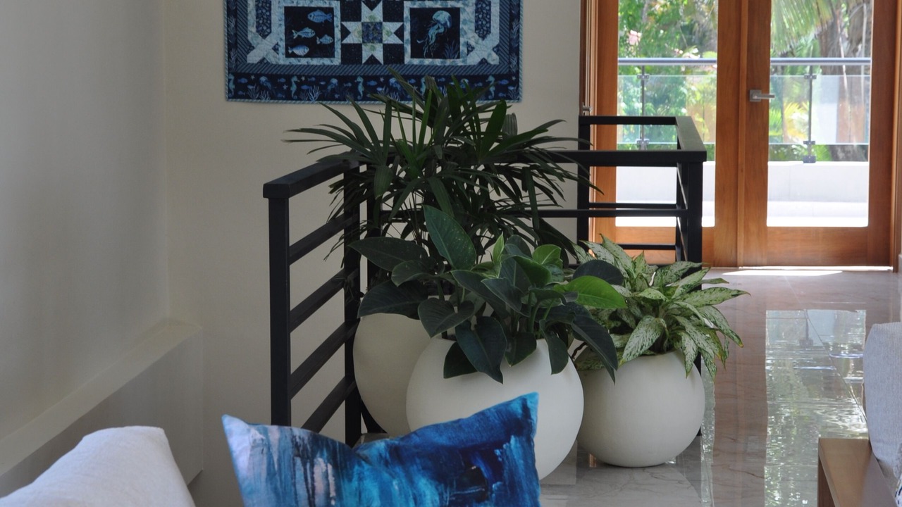 Photo of Livingroom in Sosua