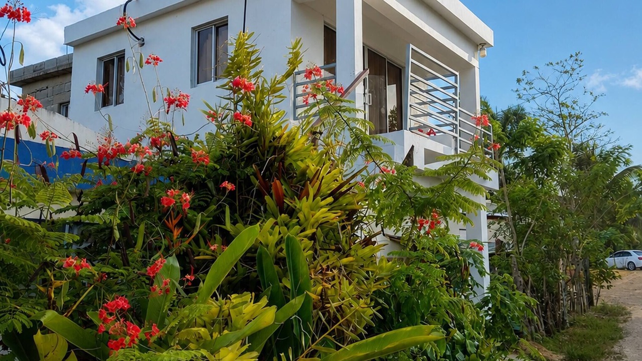 Photo of Outdoor in El Factor