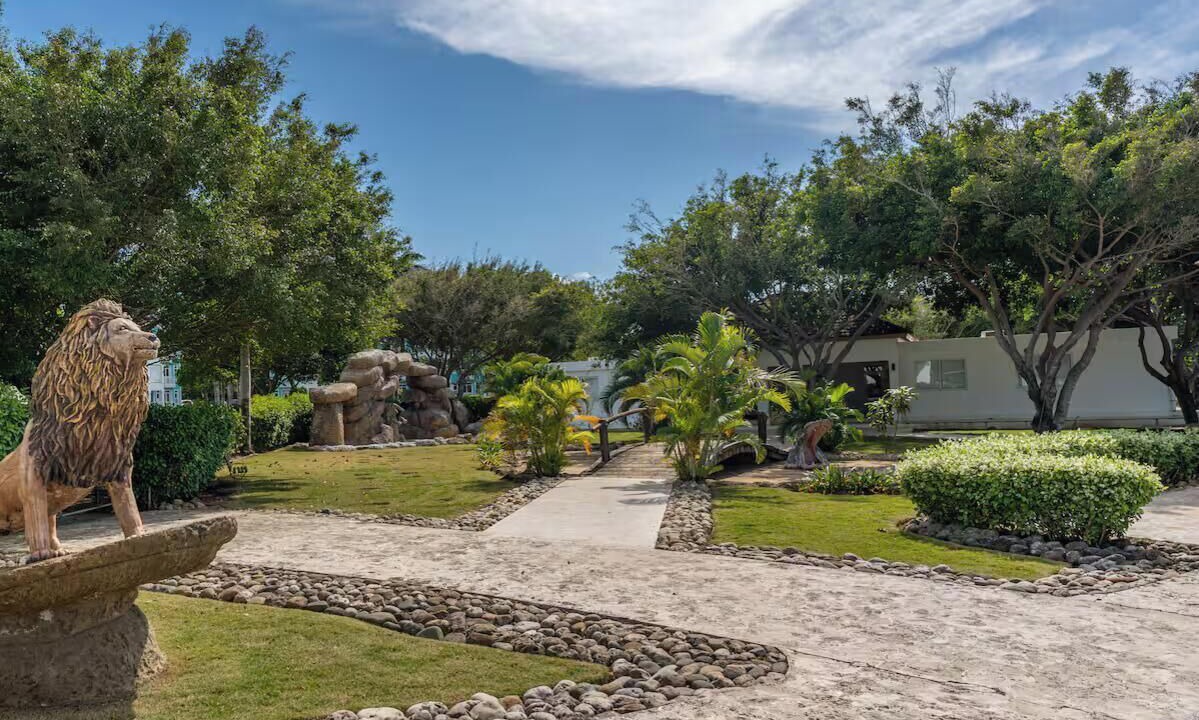 Photo of Outdoor in La Mulata