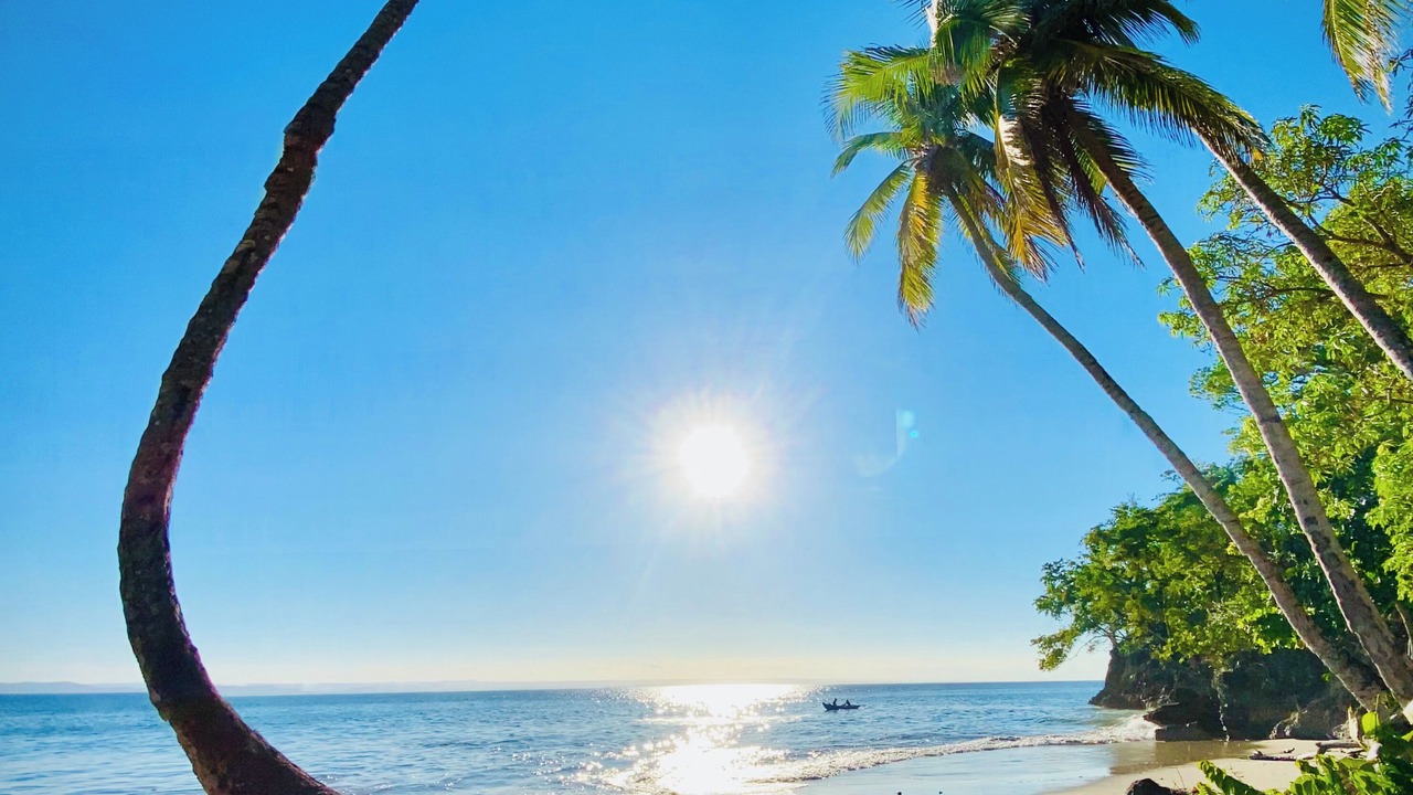 Photo of Others in Las Galeras