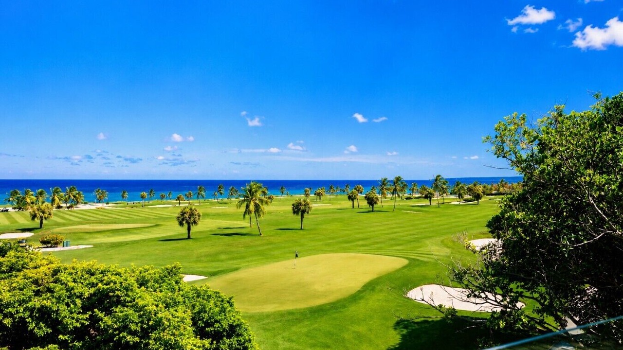 Photo of Others in Punta Cana