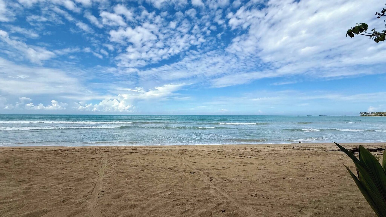 Photo of Others in Las Terrenas