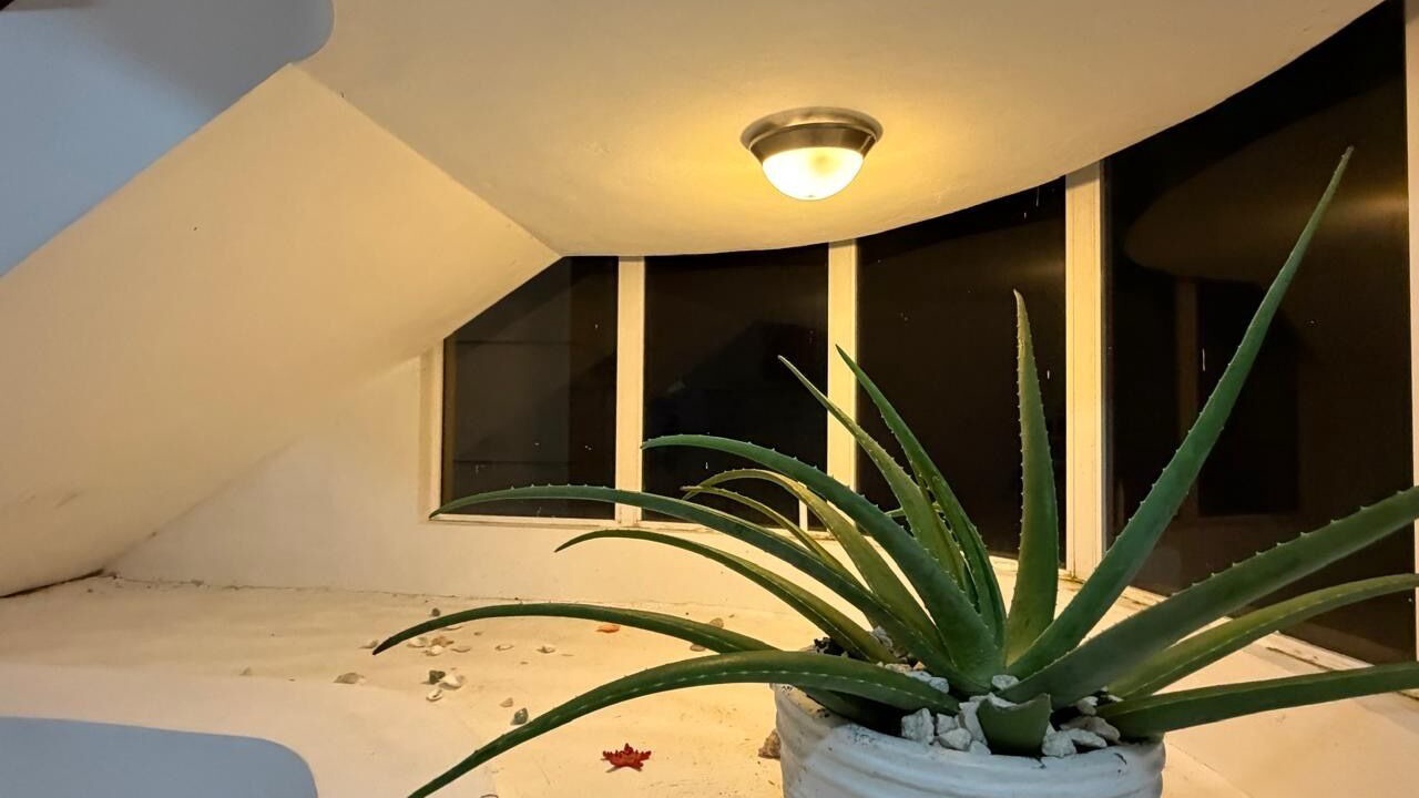 Photo of Outdoor in Cofresi