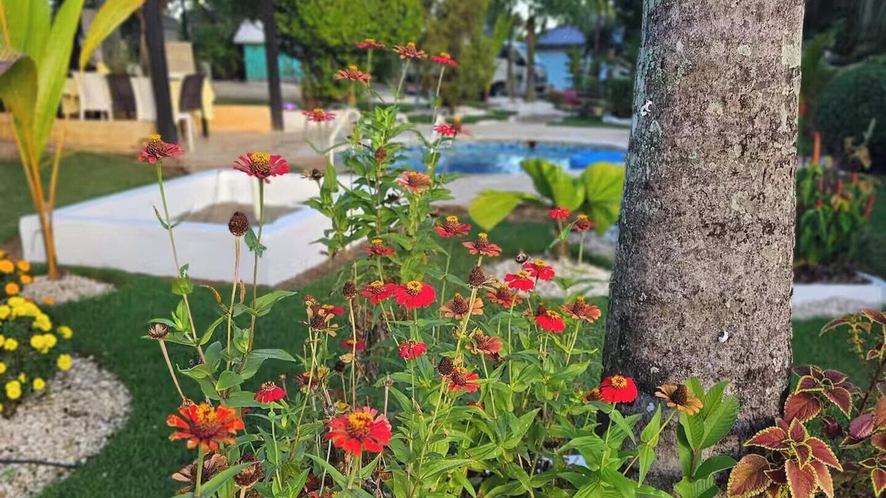 Photo of Outdoor in Higuey