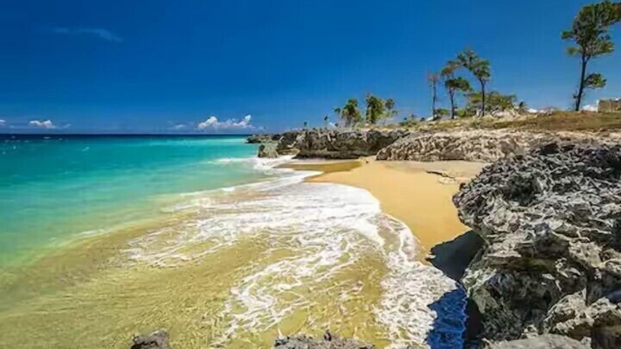 Photo of Others in Playa Chiquita