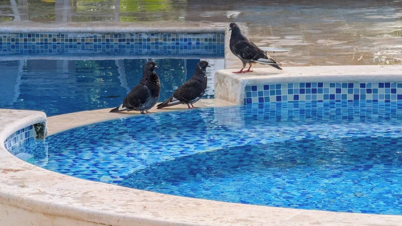 Photo of Outdoor in Higuey