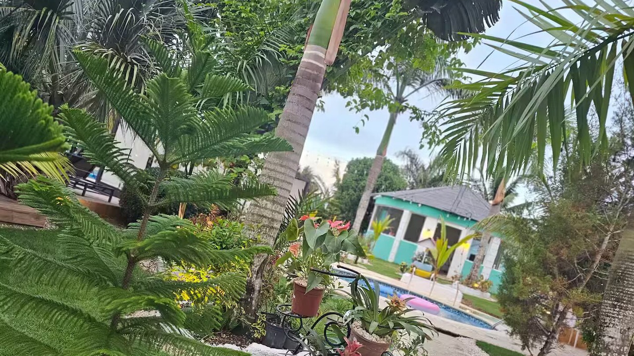 Photo of Outdoor in Higuey
