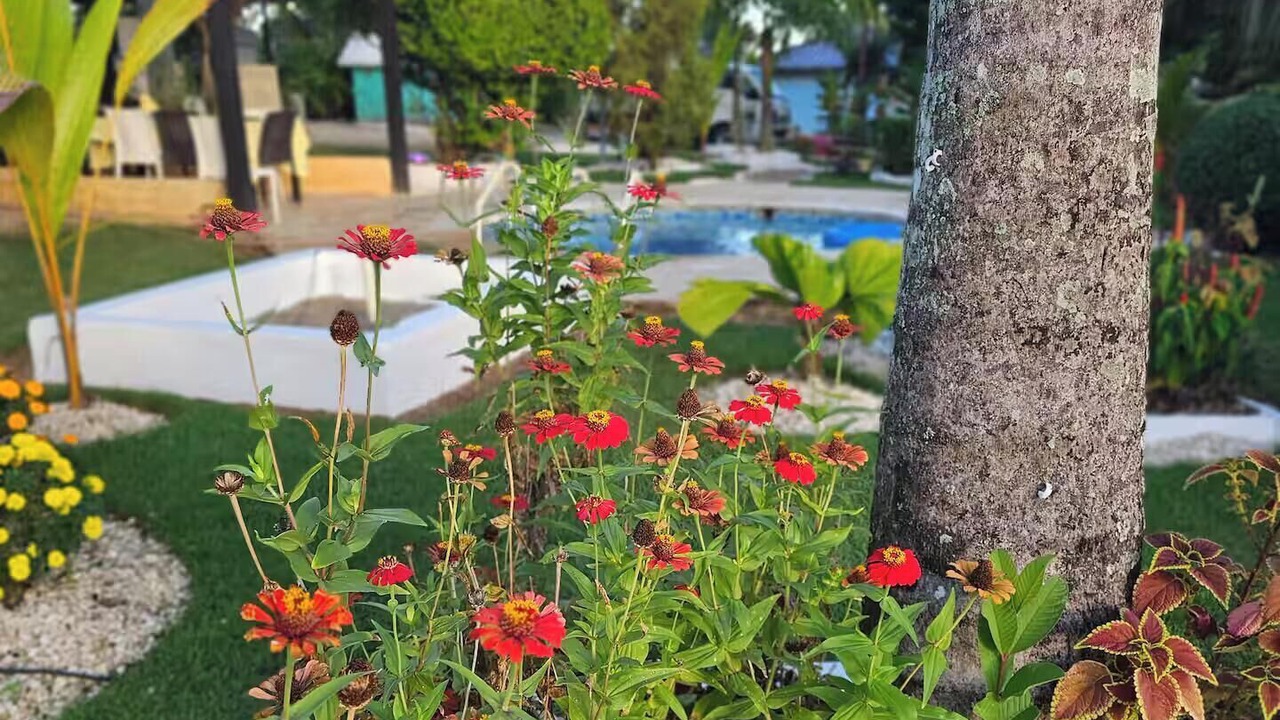 Photo of Outdoor in Higuey