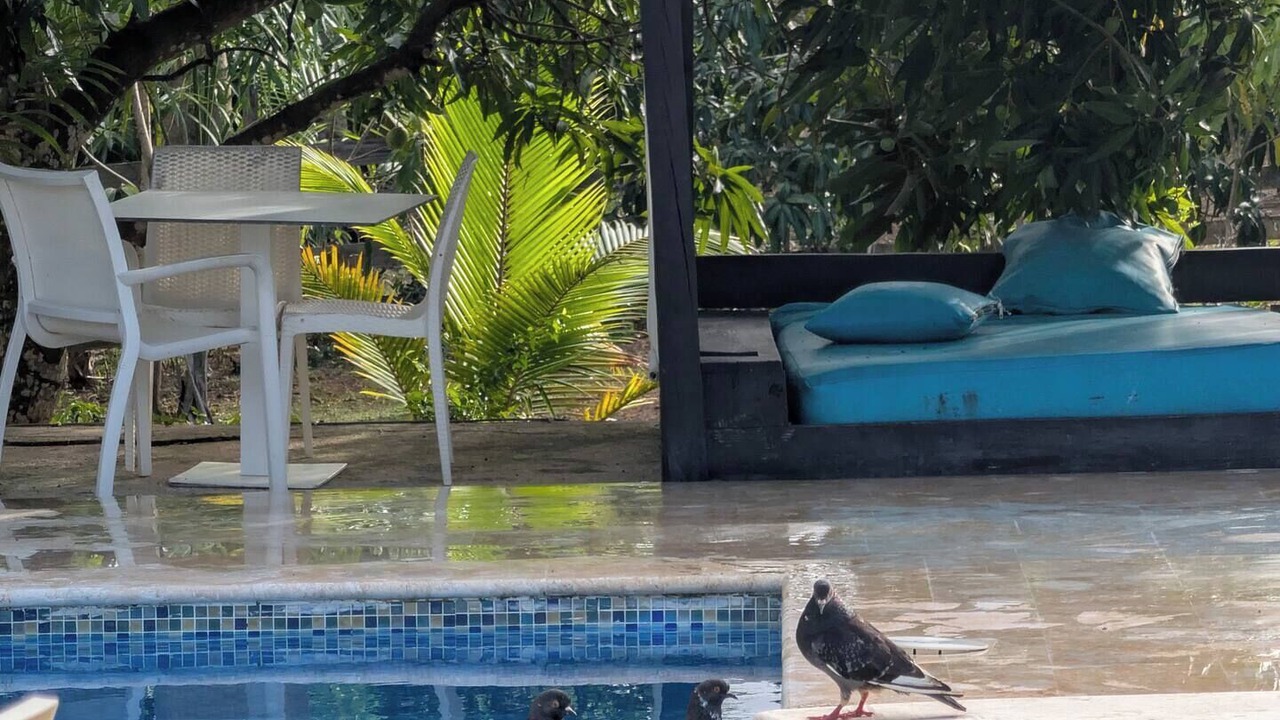 Photo of Outdoor in Higuey