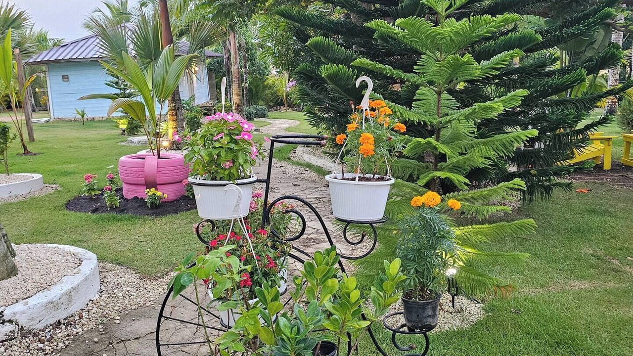 Photo of Outdoor in Higuey