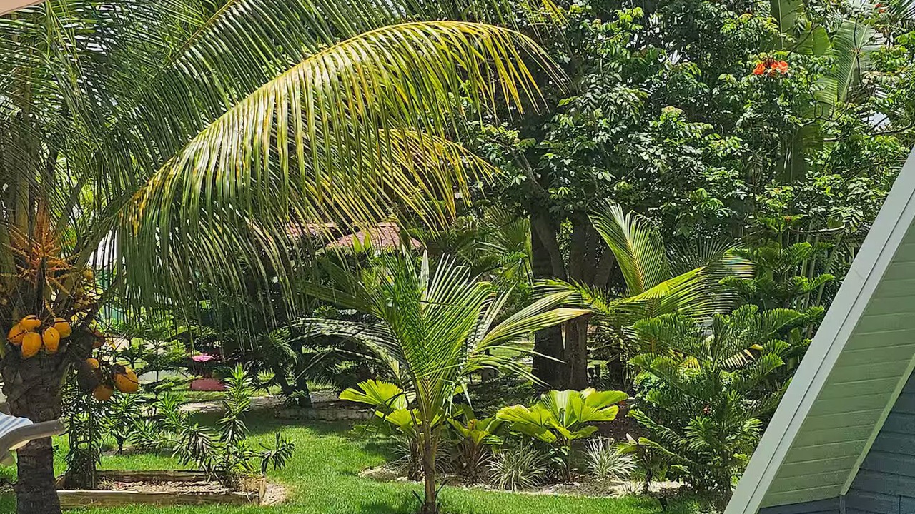 Photo of Outdoor in Higuey