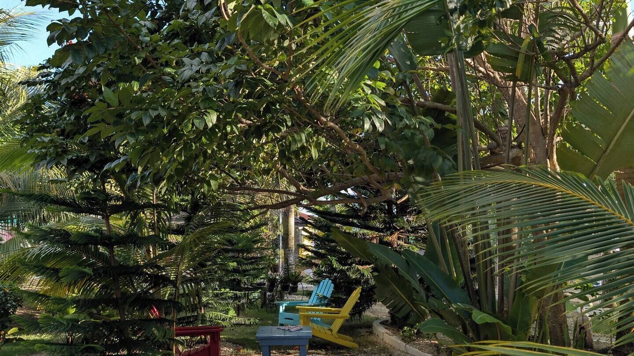 Photo of Patio Balcony in Higuey