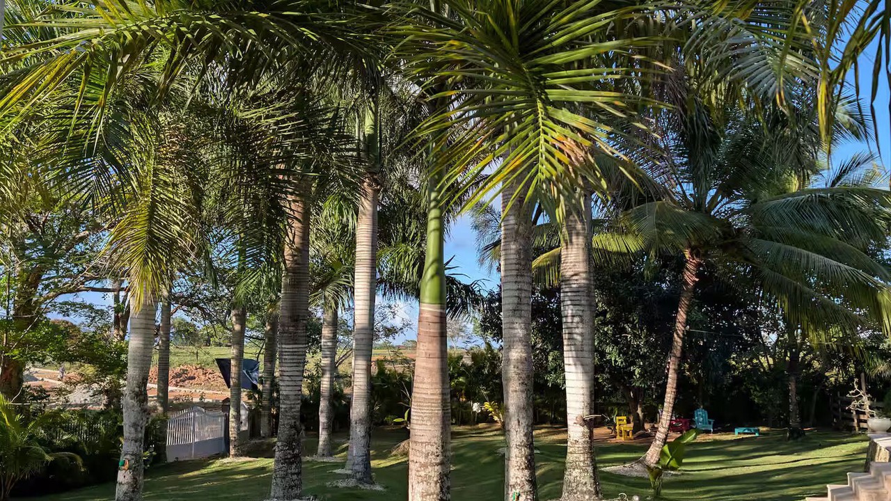 Photo of Outdoor in Higuey