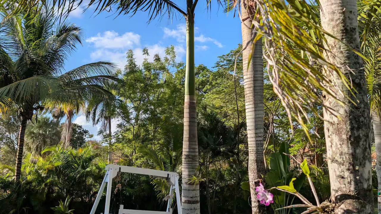 Photo of Outdoor in Higuey