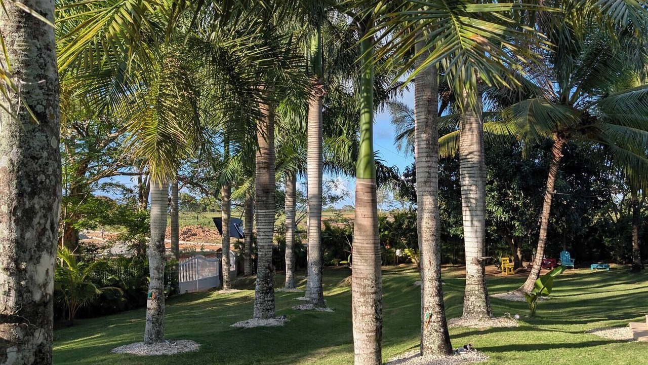 Photo of Outdoor in Higuey
