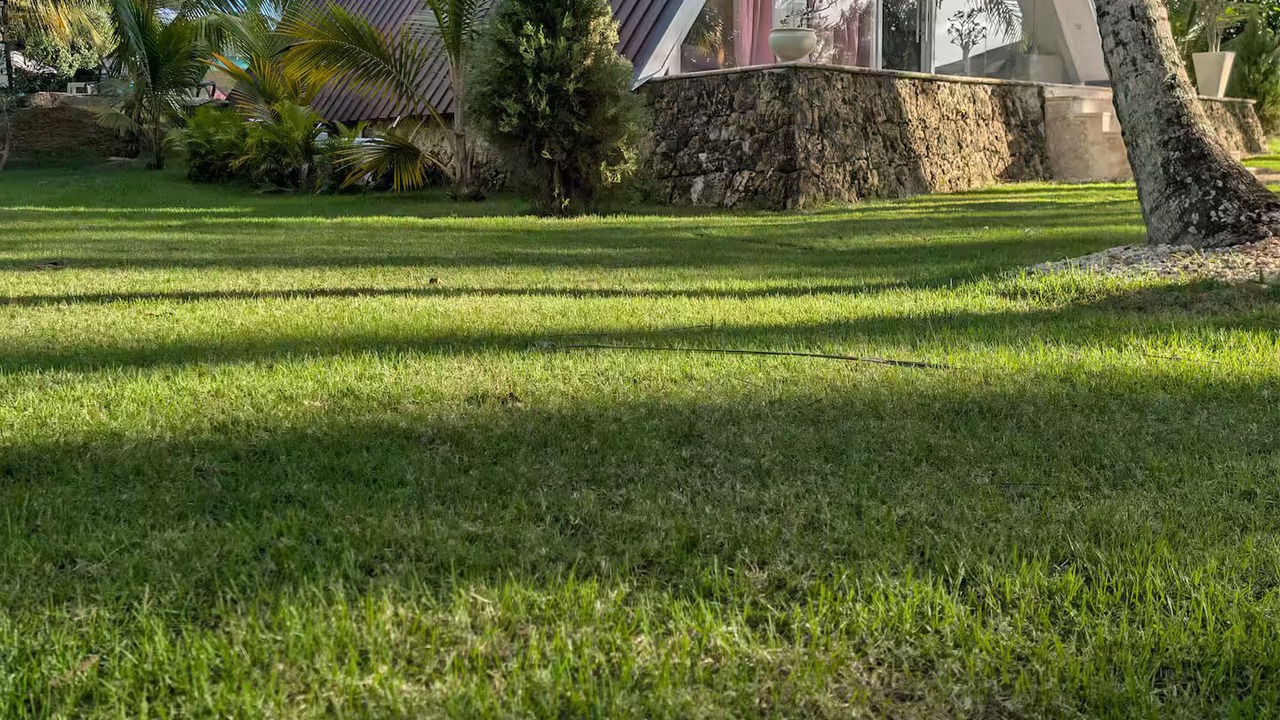 Photo of Outdoor in Higuey