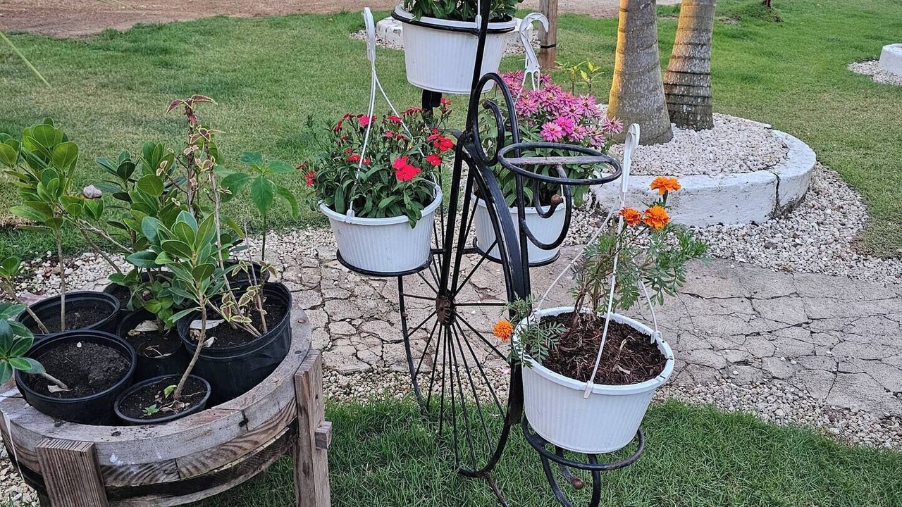 Photo of Outdoor in Higuey