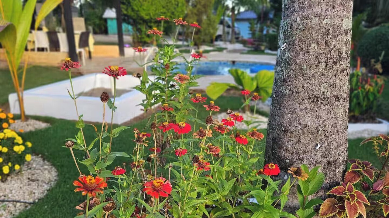 Photo of Outdoor in Higuey