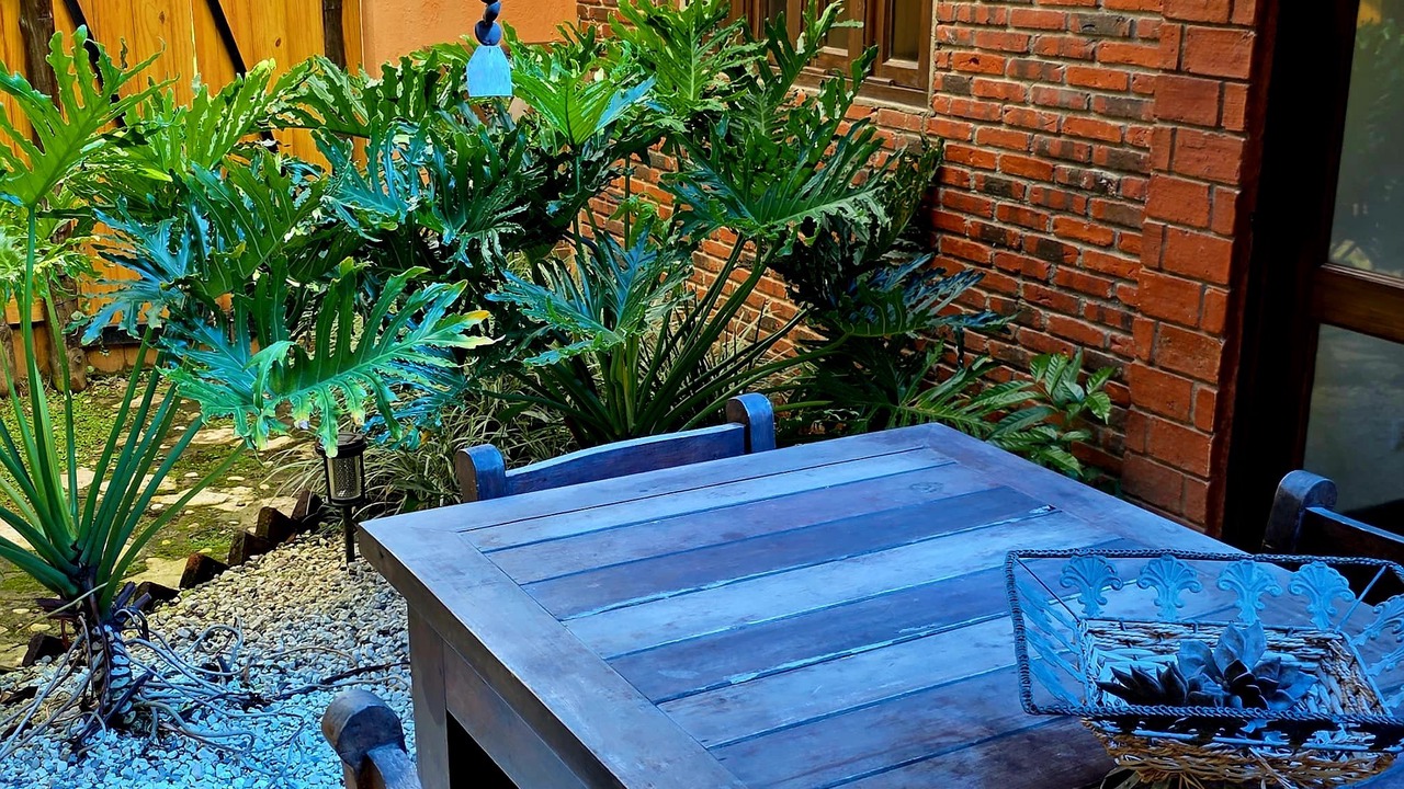 Photo of Outdoor in La Joya