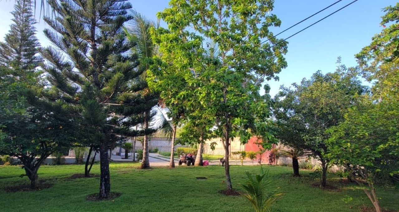 Photo of Outdoor in San Pedro de Macoris