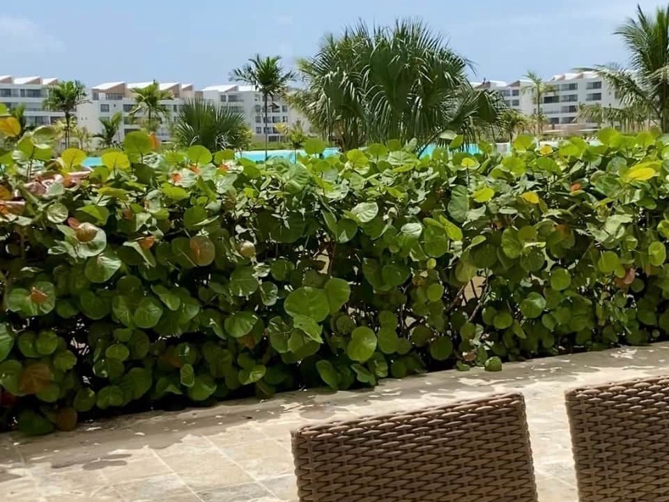 Photo of Patio Balcony in Punta Cana
