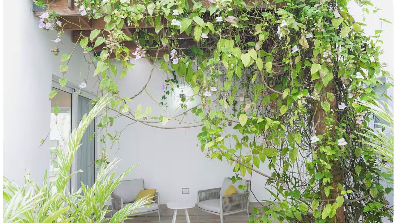 Photo of Patio Balcony in Los Brazos
