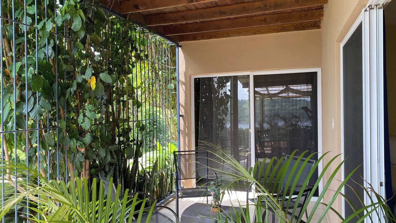 Photo of Patio Balcony in Yaque Arriba