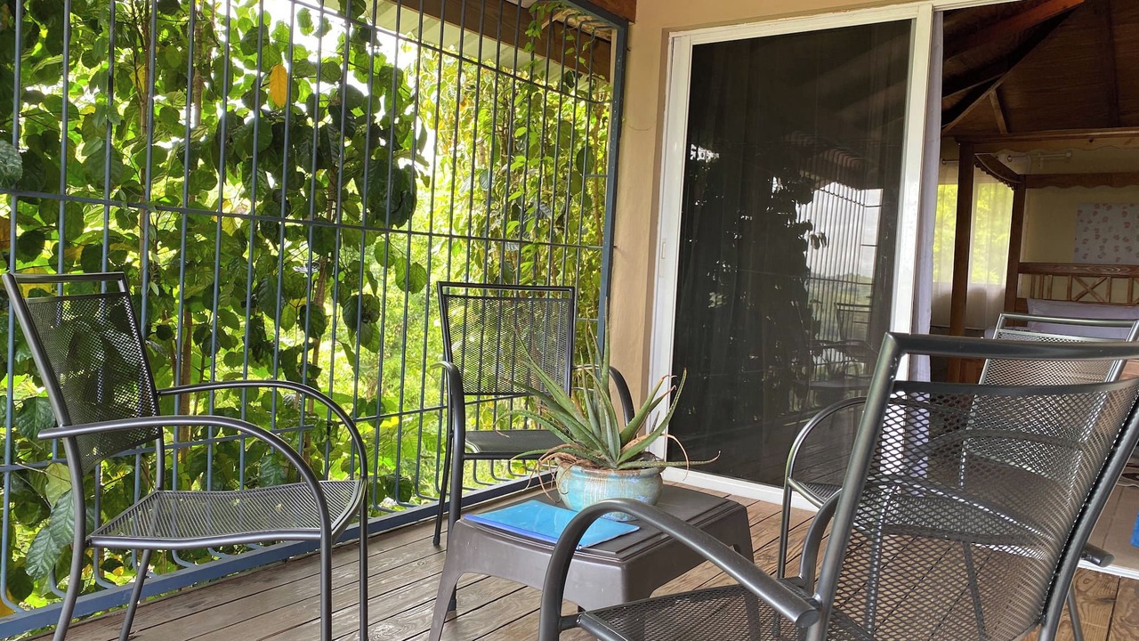 Photo of Patio Balcony in Yaque Arriba