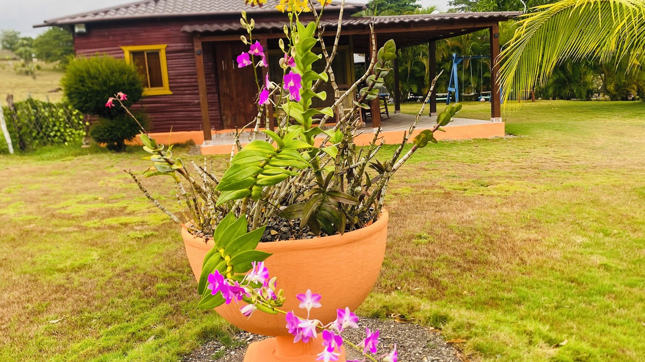 Photo of Outdoor in Higuey