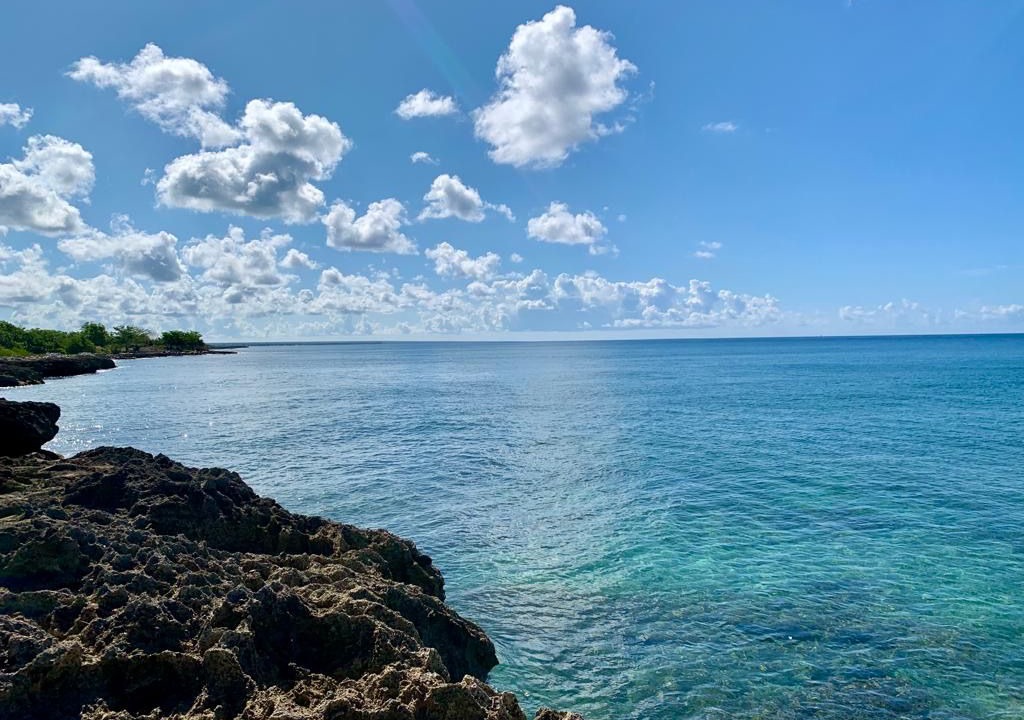 Photo of Others in Bayahibe