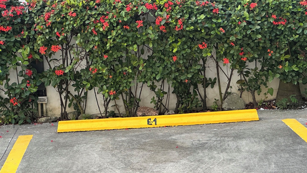 Photo of Outdoor in Villa Mella