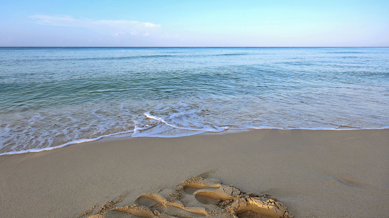 Photo of Others in Dominicus