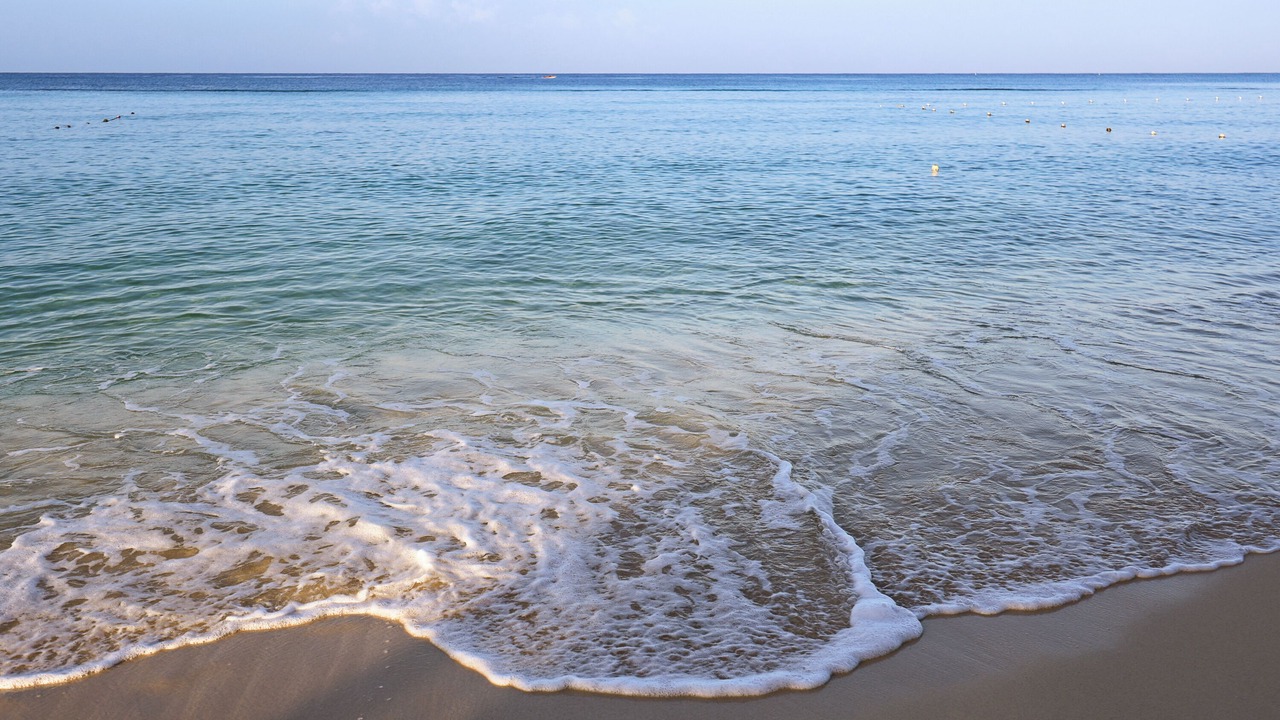 Photo of Others in Dominicus
