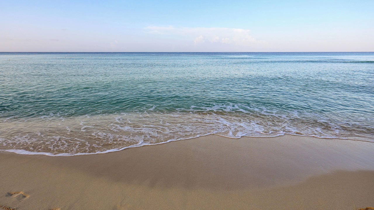 Photo of Others in Dominicus
