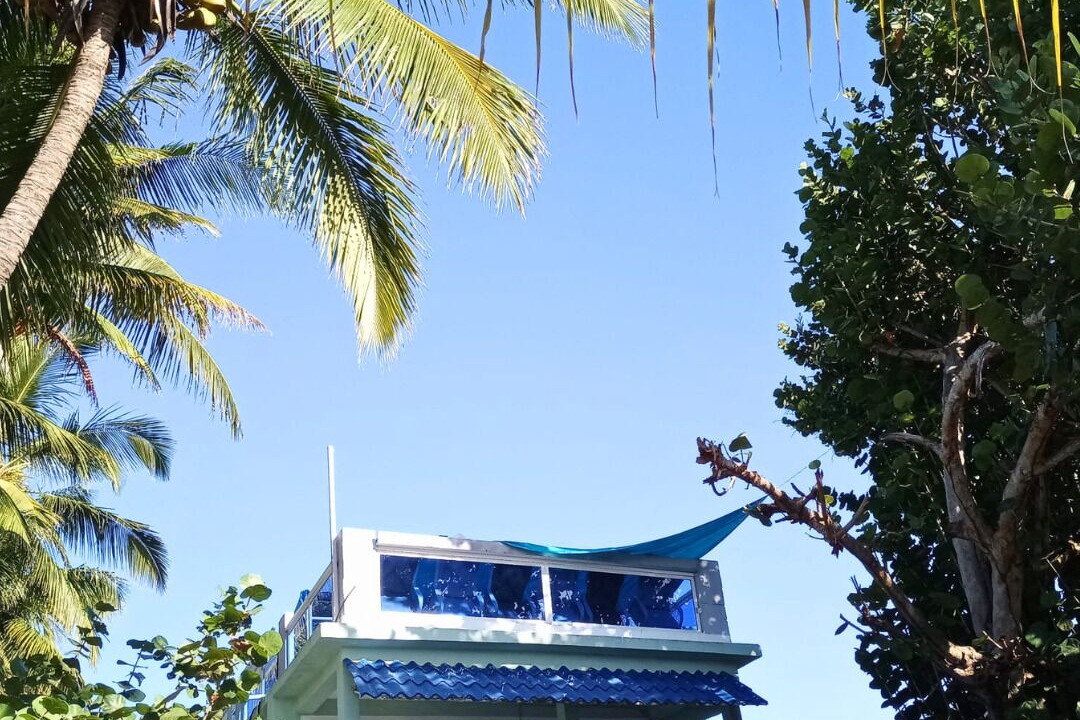 Photo of Outdoor in Juan Dolio - El Pueblo