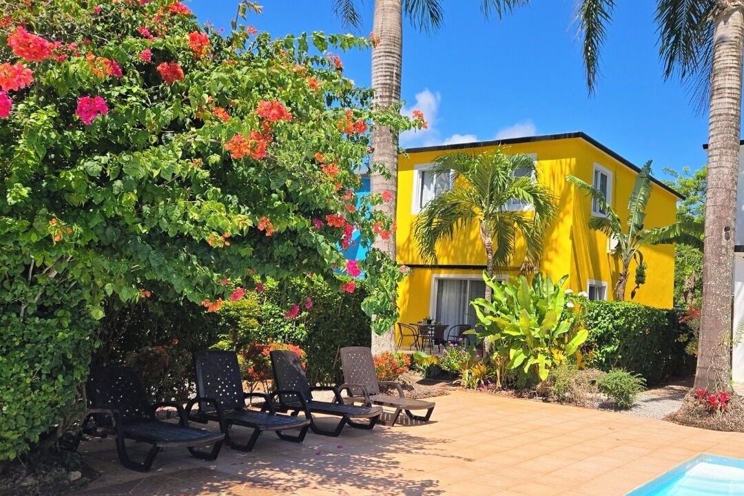 Photo of Outdoor in Rio San Juan