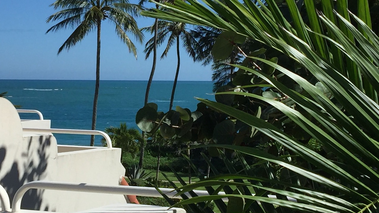 Photo of Outdoor in Cabarete