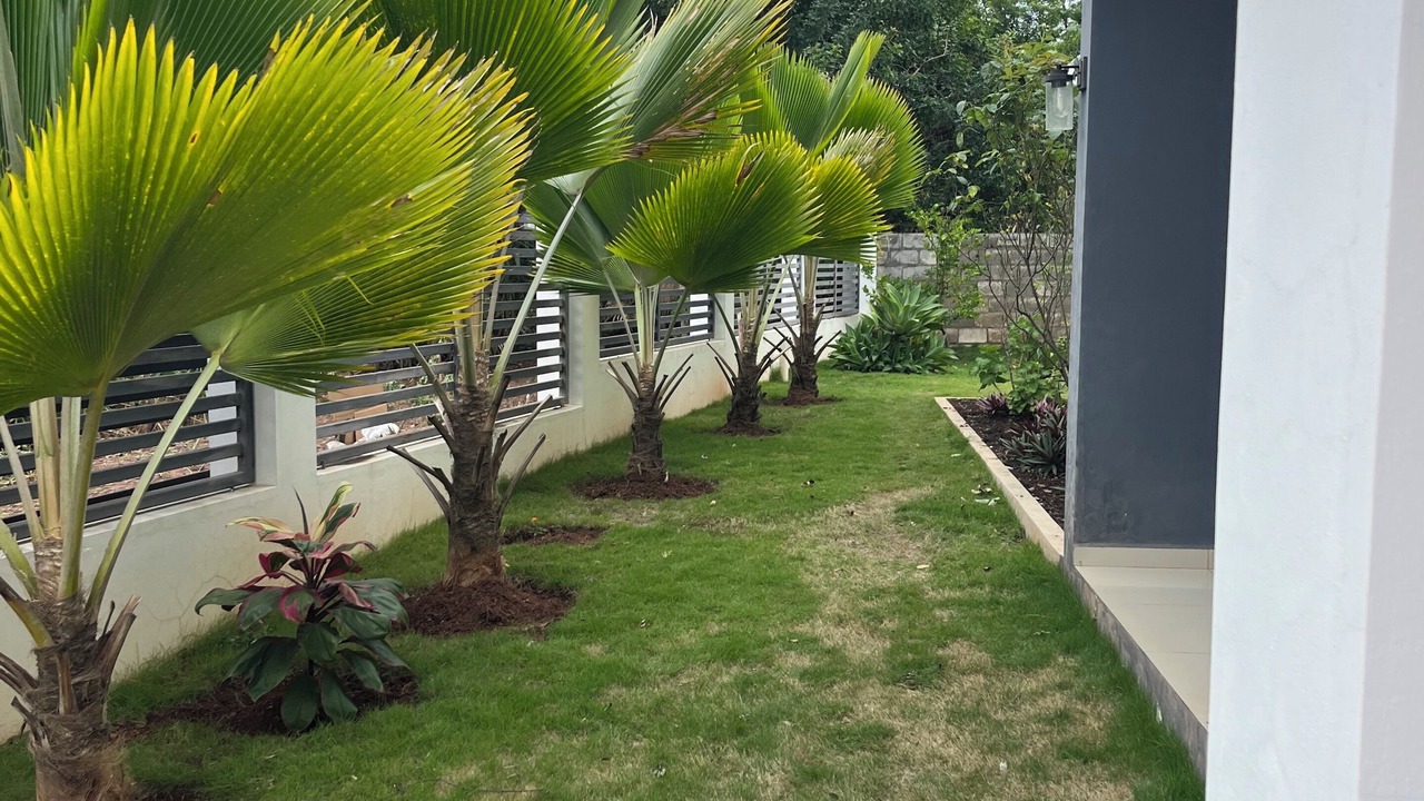 Photo of Outdoor in San Jose de las Matas