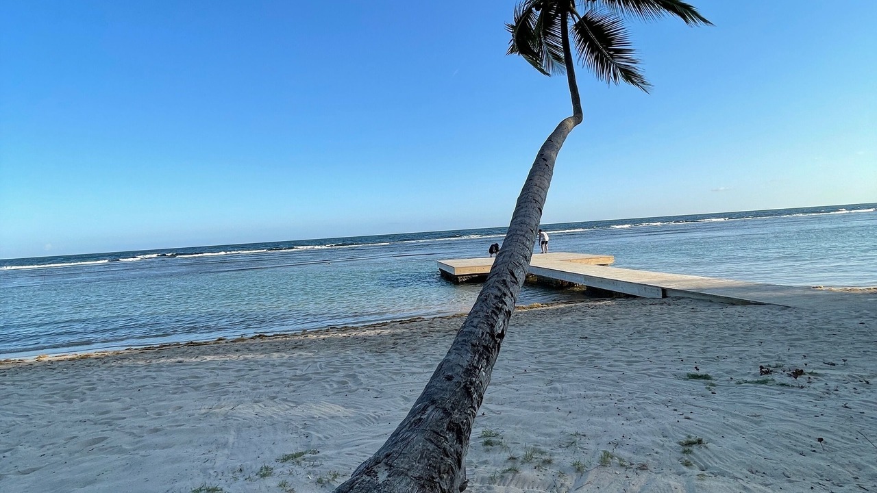 Photo of Others in Quisqueya