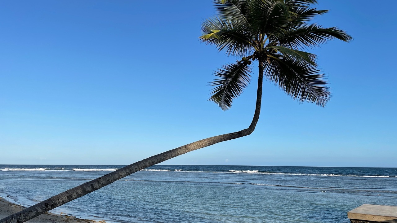 Photo of Others in Quisqueya