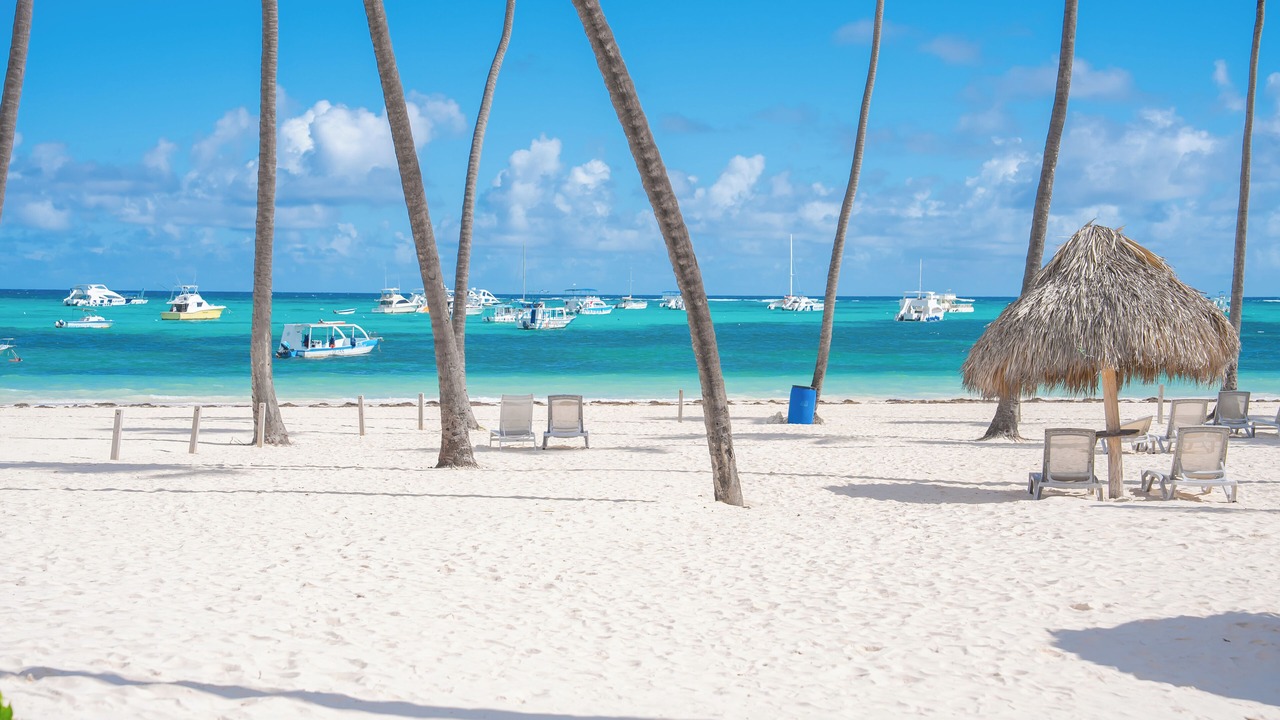 Photo of Others in Bavaro